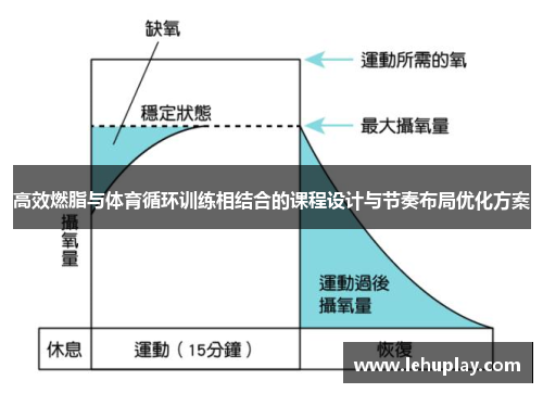 高效燃脂与体育循环训练相结合的课程设计与节奏布局优化方案