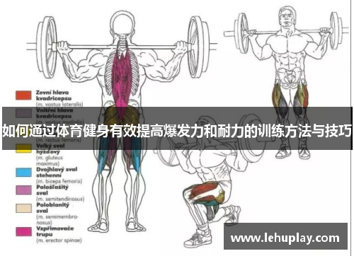如何通过体育健身有效提高爆发力和耐力的训练方法与技巧