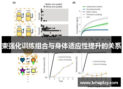 束强化训练组合与身体适应性提升的关系